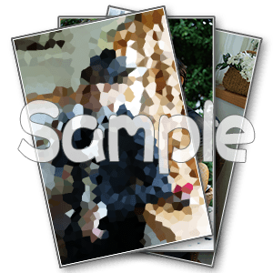 個人ブロマイドセット(古谷)