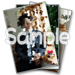 個人ブロマイドセット(伊織)