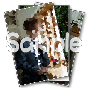 個人ブロマイドセット(影山)