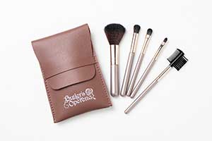 メイクブラシセット