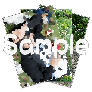 ブロマイドセット(百合野)